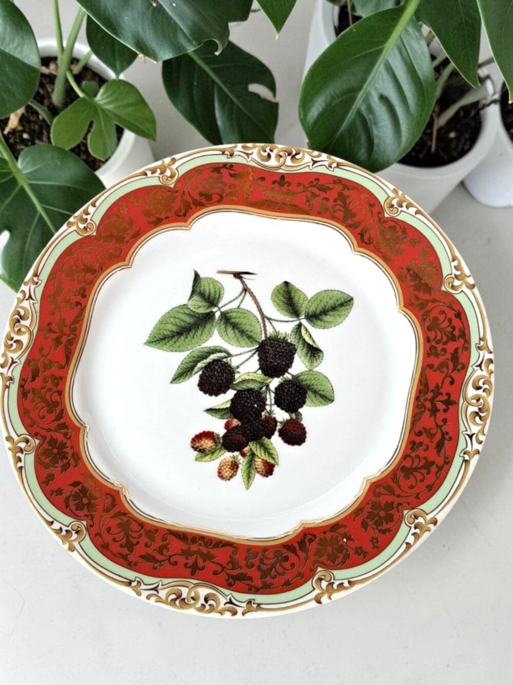 Andrea by Sadek - Honore - Blackberry Dinner Plate - Winterthur Paris Design -